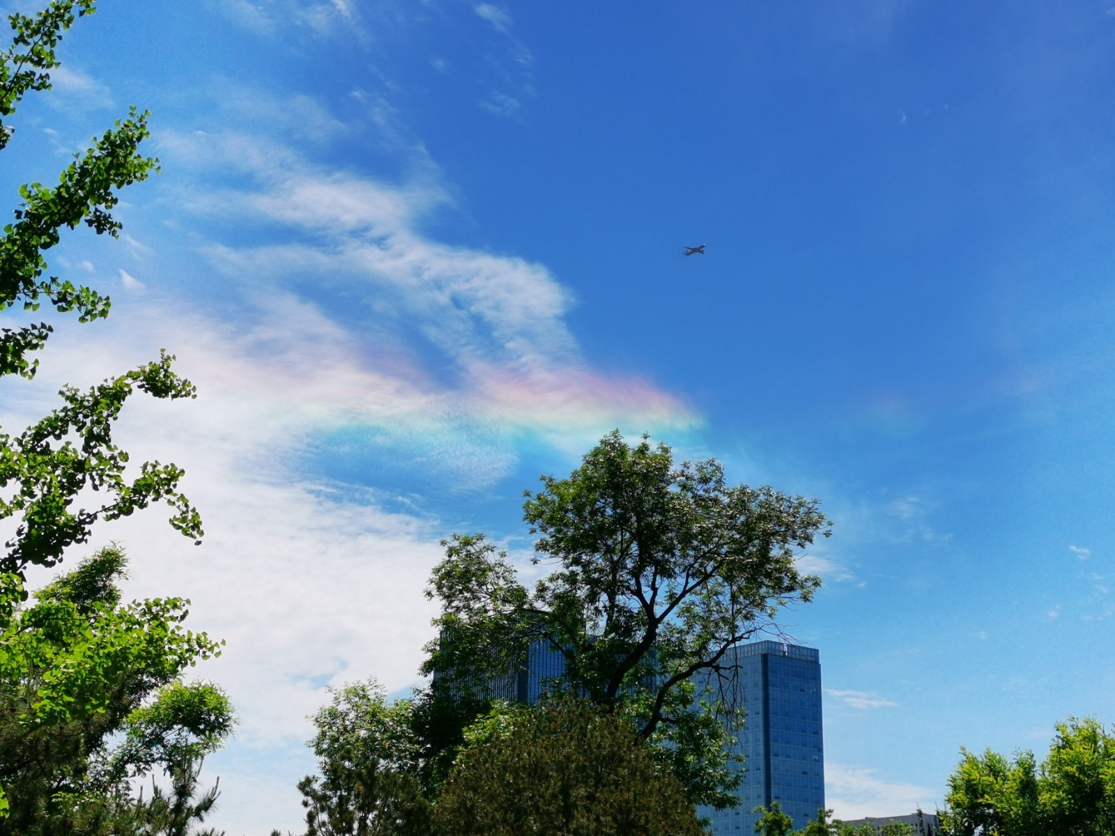 美翻了!"七彩祥云"现身北京上空