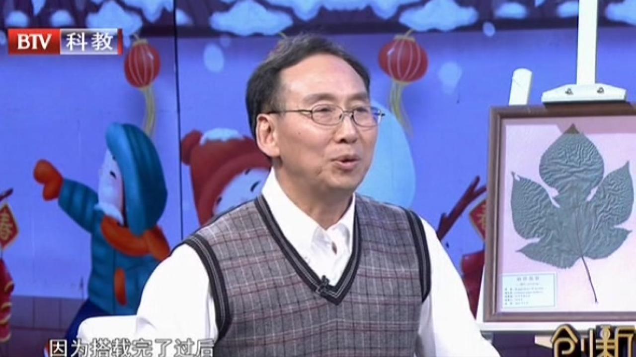 《创新北京》20210220长在餐桌上的大树