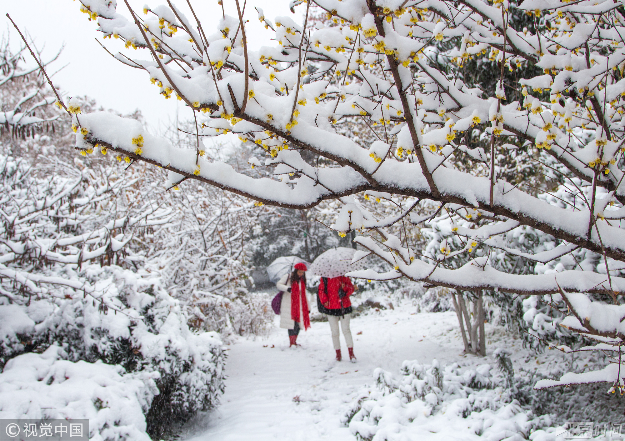 2018年1月3日以来，鄂豫皖三省遭遇暴雪天气。截止今天，湖北古城襄阳暴雪天气仍在持续，平均厚度已经超过20公分，市民在欣喜的观赏雪景的同时，也给正常生活、交通出行造成了一定影响。图/视觉中国