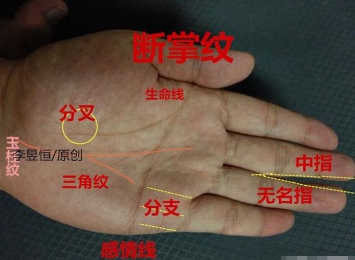 断掌纹,手中出现这3条线,丰衣足食,事有所成,吃