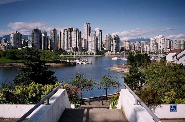 中国男子加拿大买房半年亏掉300万后,宣布要自