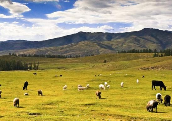 新疆到底有多大?韩国人自驾7天还没出省,感叹