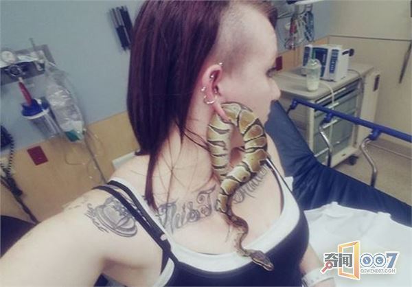 女子熟睡中竟被宠物蛇钻了身体这个部位,吓的赶紧去医院... 女子熟睡中竟被宠物蛇钻了身体这个部位,吓的赶紧去医院...