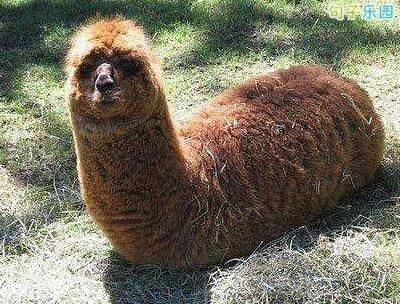 爆笑幽默句子大全:为了节约用水,以后可以一起