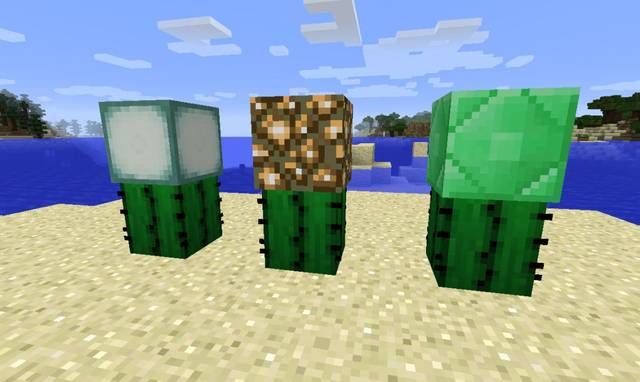 《我的世界》每周"方块"系列--关于仙人掌你知道多少?