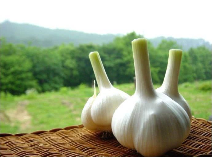 大蒜泡白酒喝,比20岁还凶,吃七天妻子更加爱你