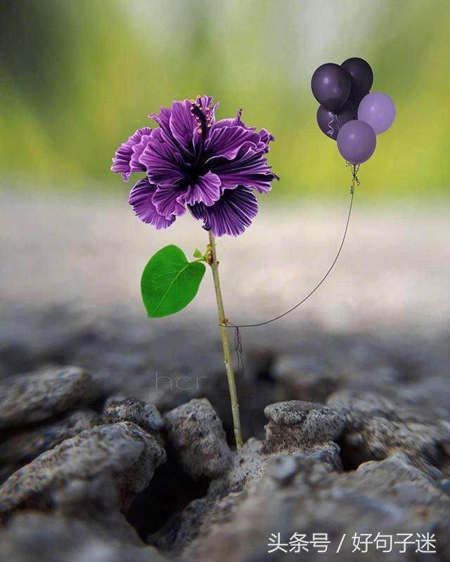 适合早上发的说说短句,句句正能量,拿去发朋友