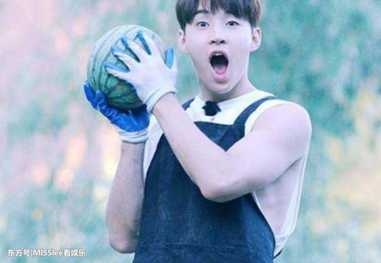 向往的生活片酬曝光,黄磊的最低,他的竟然这么