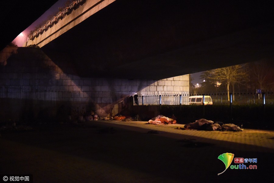 露宿立交桥下的人:怕被欠薪只敢打短工