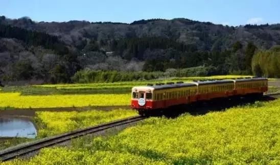 中国人去日本自由行要花多少钱?