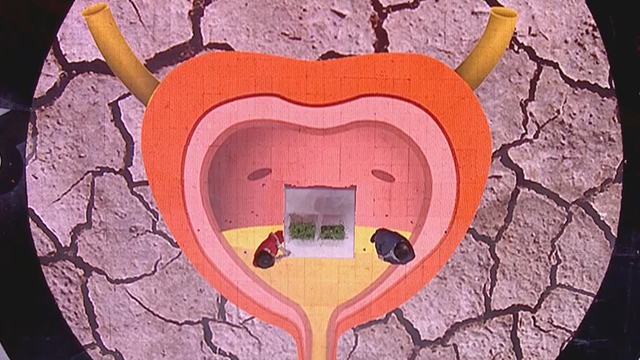 《养生堂》20171106揭秘癌症朋友圈