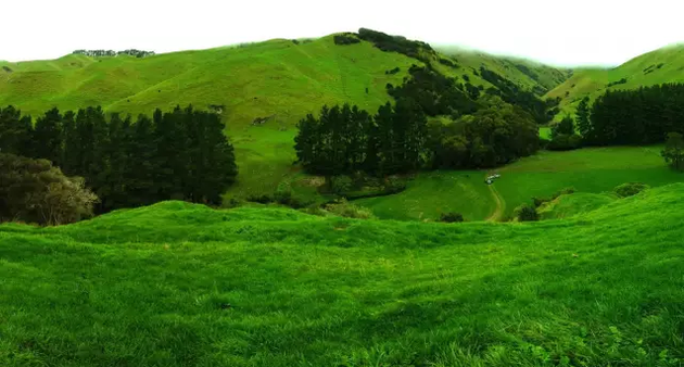 如果紫色代表法国 其他国家是什么颜色的