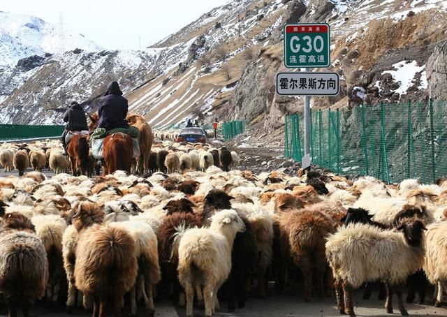 霍尔果斯收紧税收优惠政策:从横店开始的避税