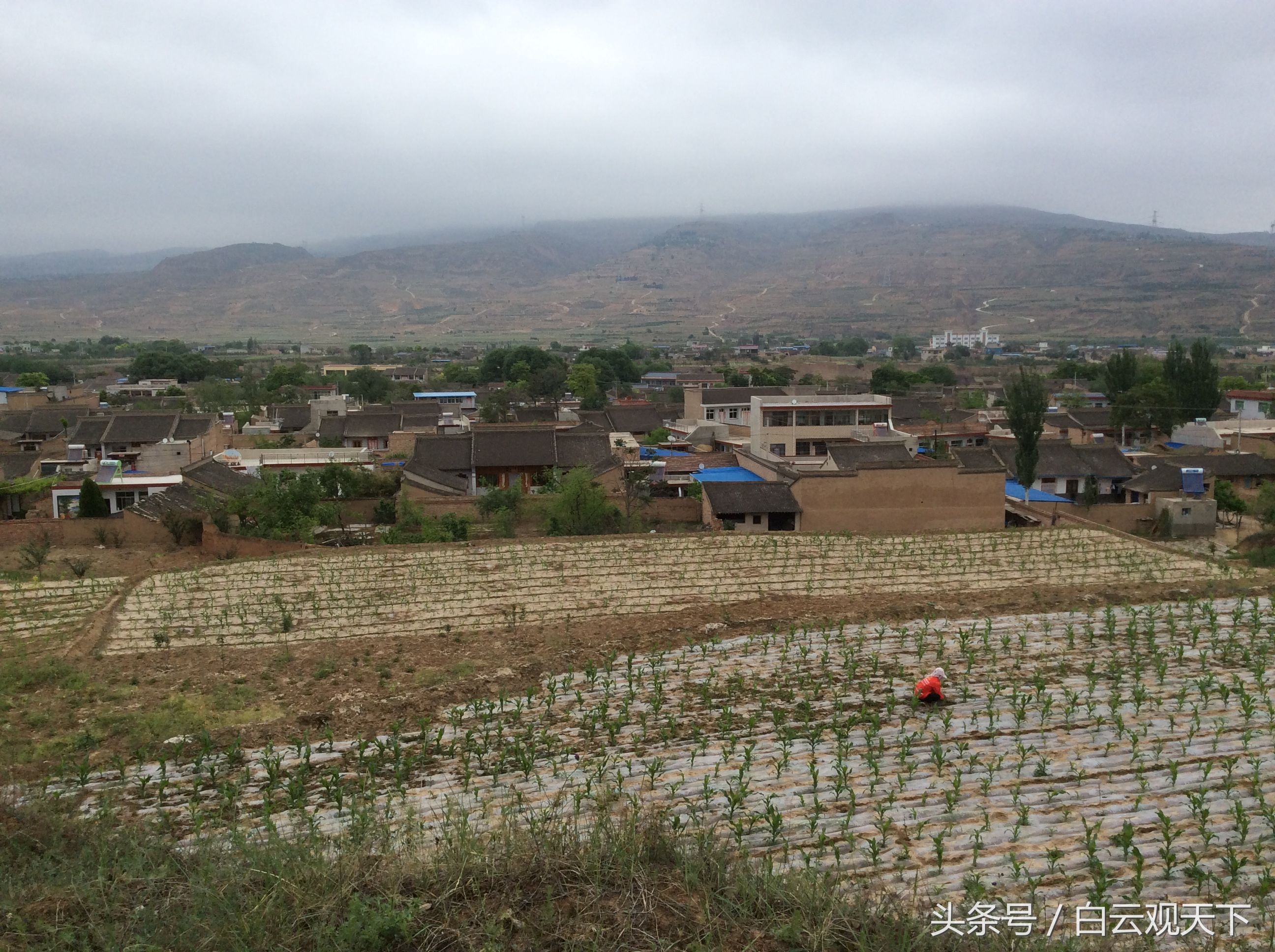 发展中的甘肃农村,富起来了都建小别墅了,从这