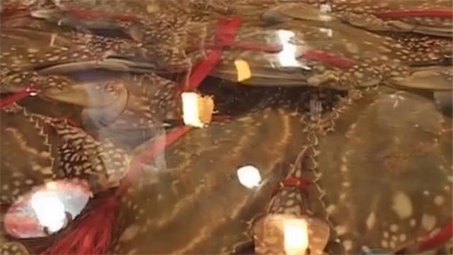 商家手法揭秘 死螃蟹能“复活” 商家手法揭秘 死螃蟹能“复活”