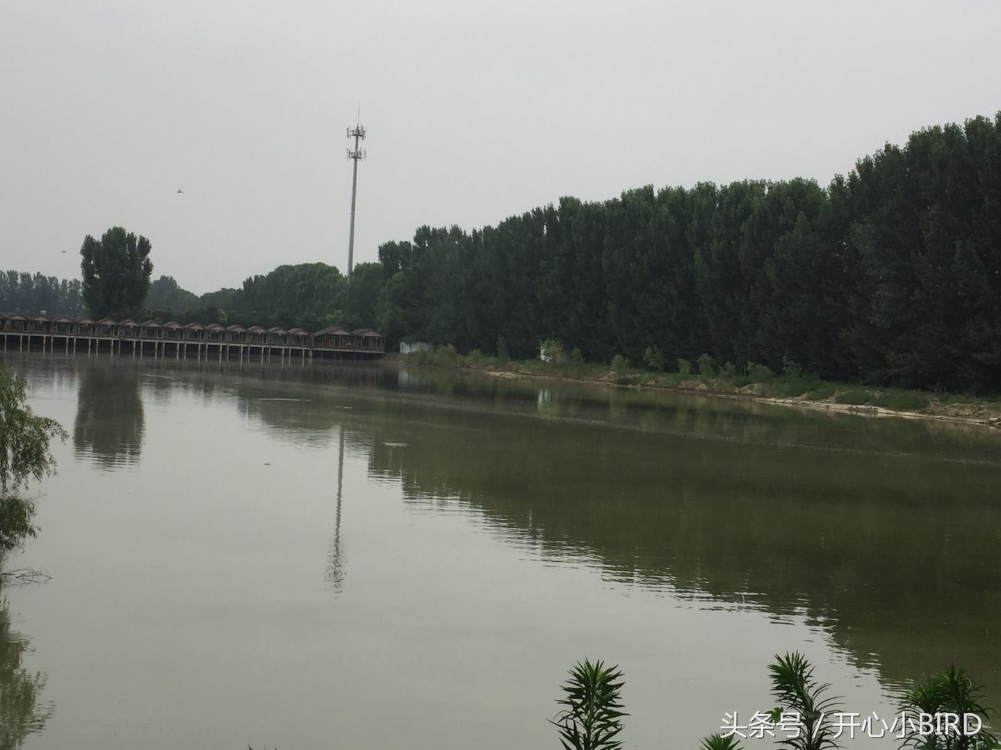 绿源山水生态园郑州又一处免费景区,停车方便