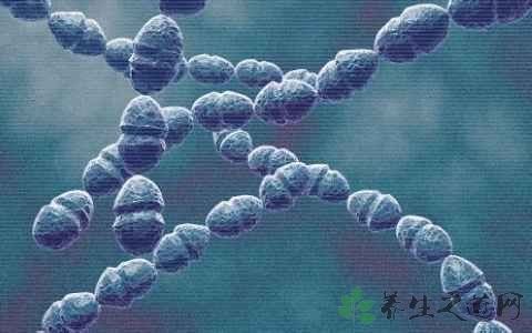 风湿热痹关节游走怎么回事