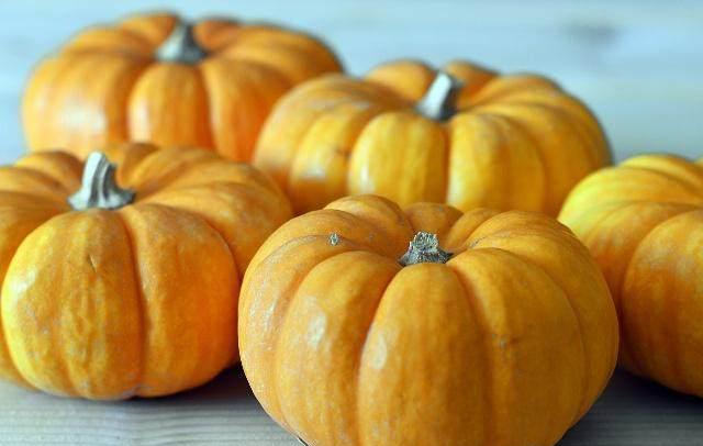 盘点补充雌激素的食物?补充雌激素的食物 盘点补充雌激素的食物?补充雌激素的食物