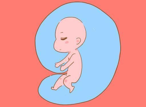 为什么说孕28周是孕妈怀孕期间的一道坎?很多孕妈不清楚原因
