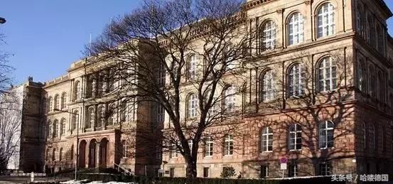 德国大学最受欢迎十个专业(附该专业较强的大
