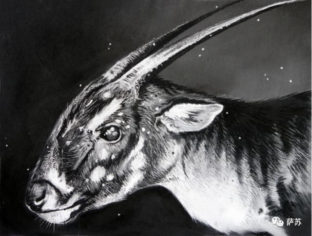 亚洲的山西兽或者萨摩麟会不会也有少量后代一直活到了孔子和司马迁的