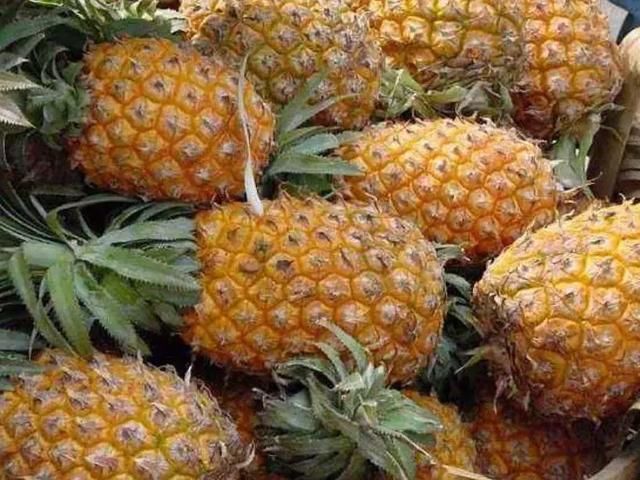 来水果,外形像菠萝,价格却是菠萝20倍,农民种了