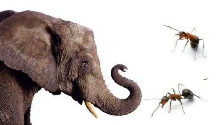 朗逸起火:上汽大众与消防大队结论相反,听谁的