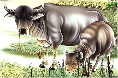 怎么选着符合自己生肖的手机号码,选对了可以