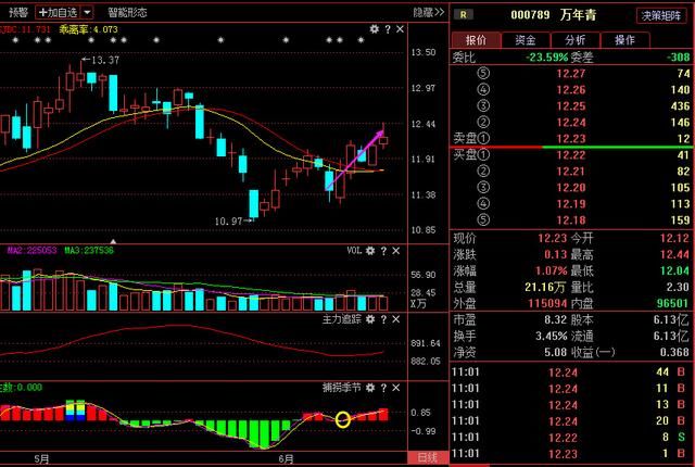 000789万年青:南方水泥人气龙头,半年报业绩值