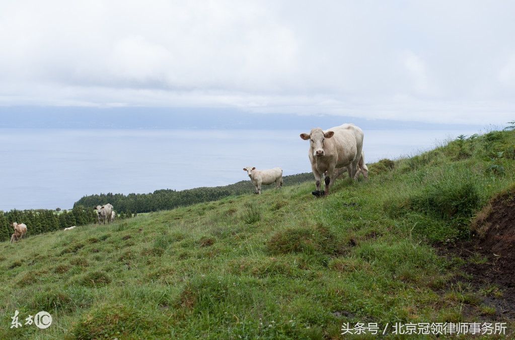 关于集体土地企业拆迁相关法律问题