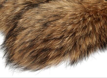 貉子毛是什么动物的毛 貉子毛价格是多少