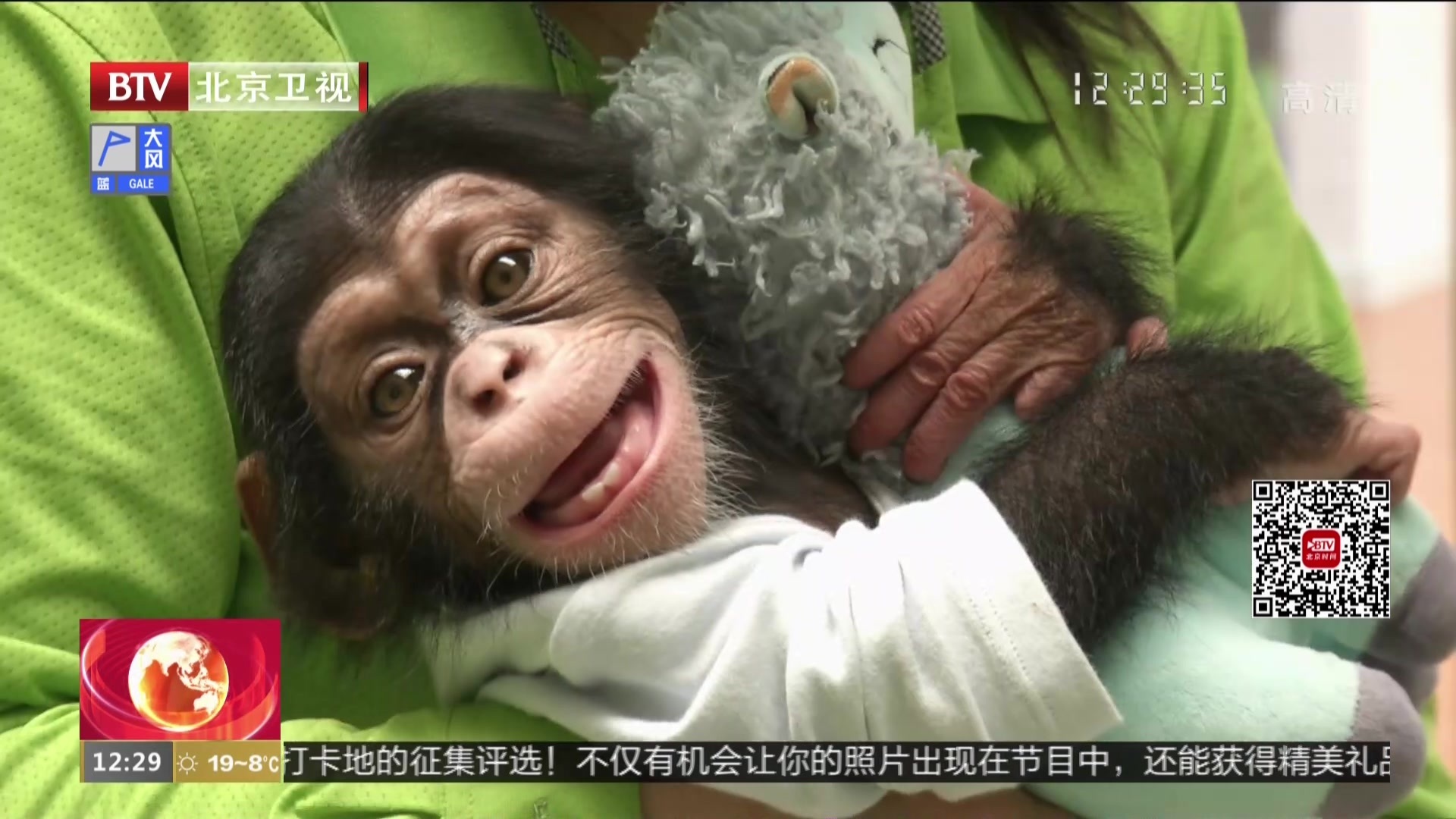 萌宠宝宝齐亮相  北京野生动物园欢乐多