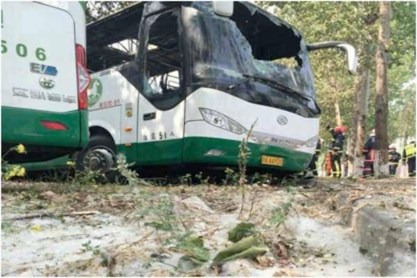 一场柳絮引发的火情 蟹岛火灾追踪 一场柳絮引发的火情 蟹岛火灾追踪