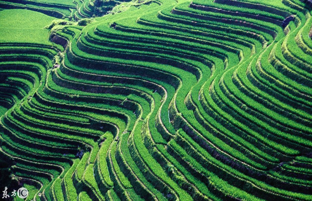 广西龙脊梯田,菲律宾巴拿威梯田,隐秘的不丹--
