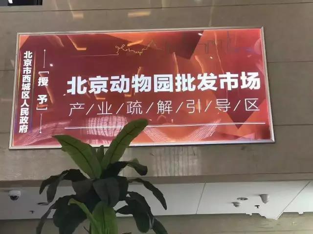 乐城 国际贸易城 马云来了 项目六个地铁 一铺养