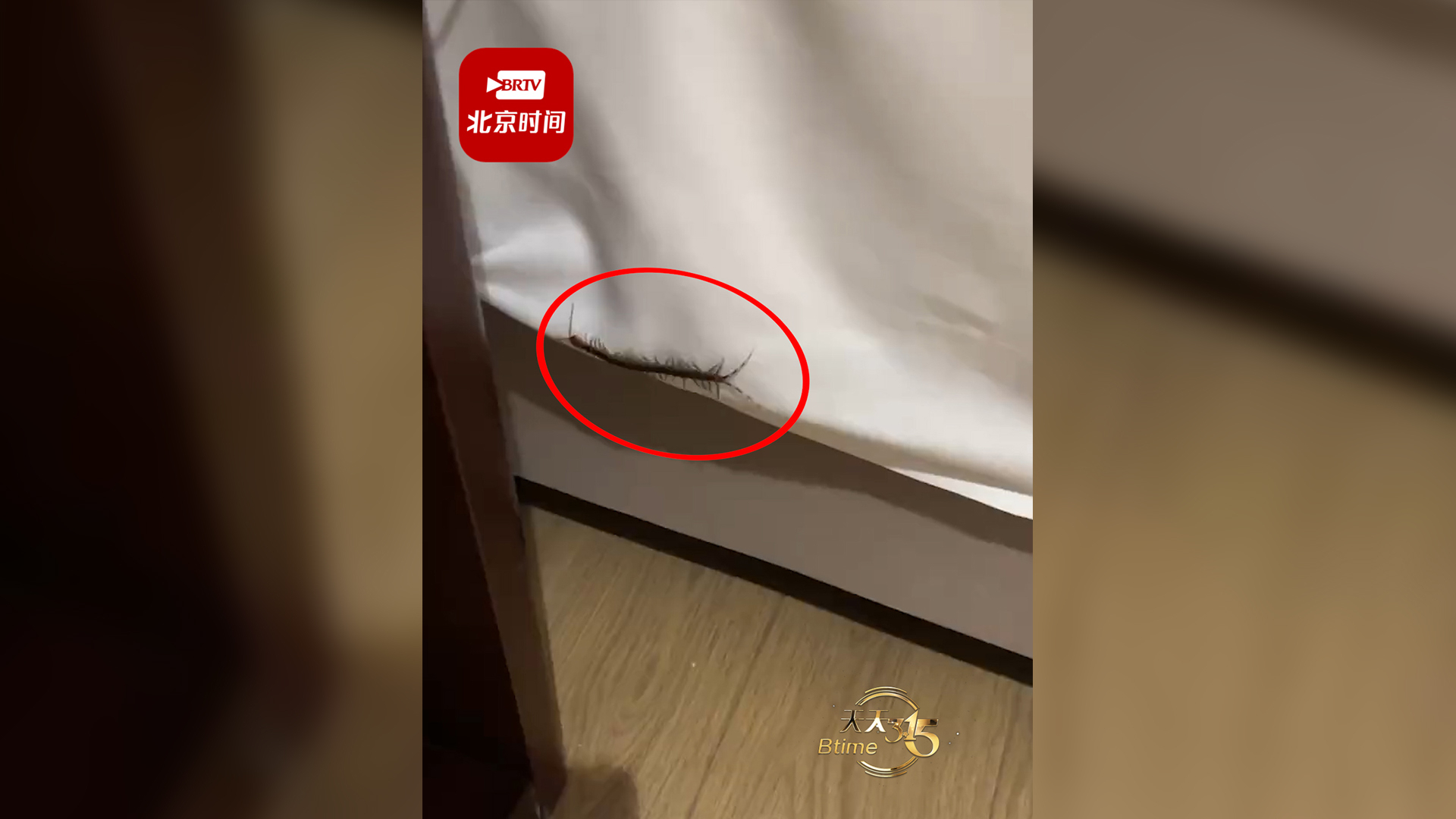 颐和至格酒店回应客人被蜈蚣咬伤：已免房费，会全力配合处理