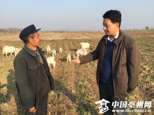 邵利明:贫困村的操心人