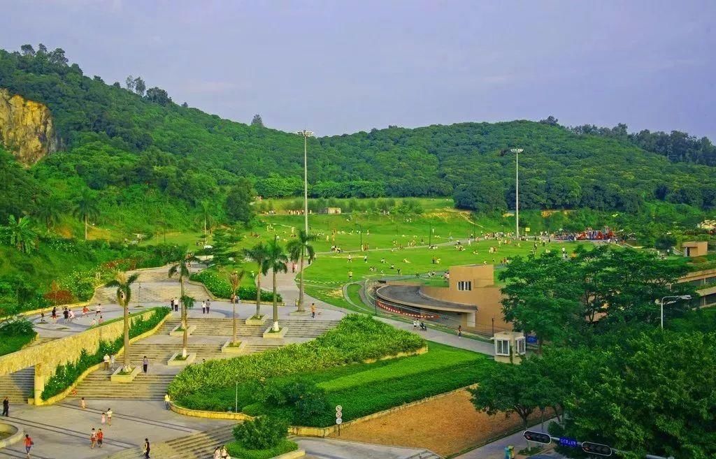 重磅!深圳各区2017年GDP排名曝光!南山区45