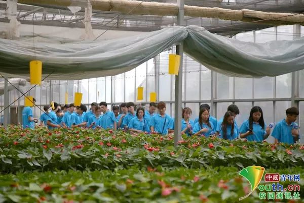 河南大学生走进红色裴寨社区 感受改革开放40