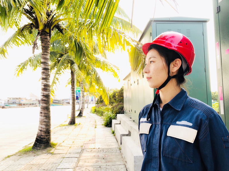 时间是最好的见证者:博鳌论坛17年折射电网跨