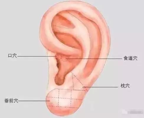 印堂穴为什么能搞定失眠?