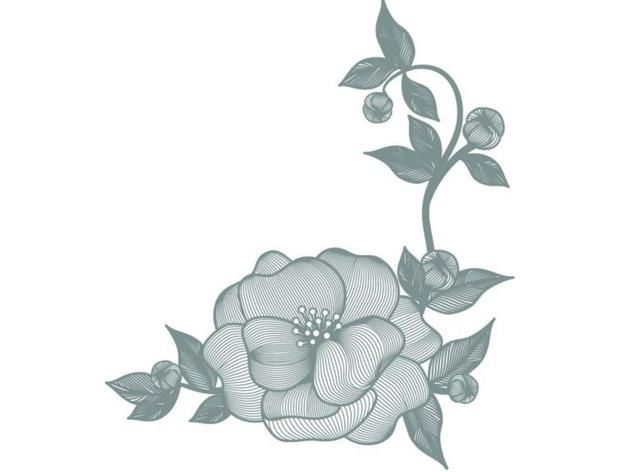 脸过敏,红肿,爆痘的真实原因!