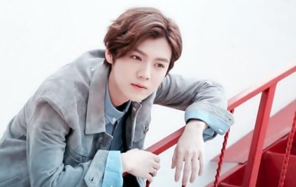 鹿晗曾在节目中坦言私生子事件,身旁杨幂的一