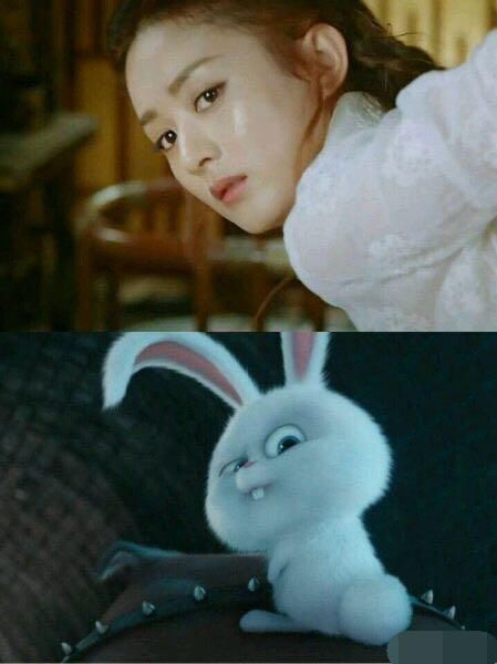 【萌翻了】:赵丽颖的前世是兔子吗? 能不能不