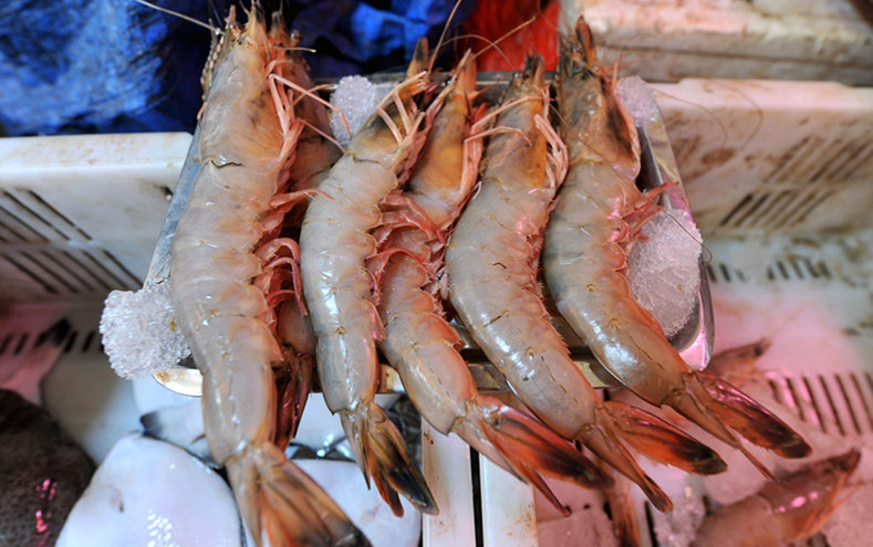 市场上常见的海虾图片