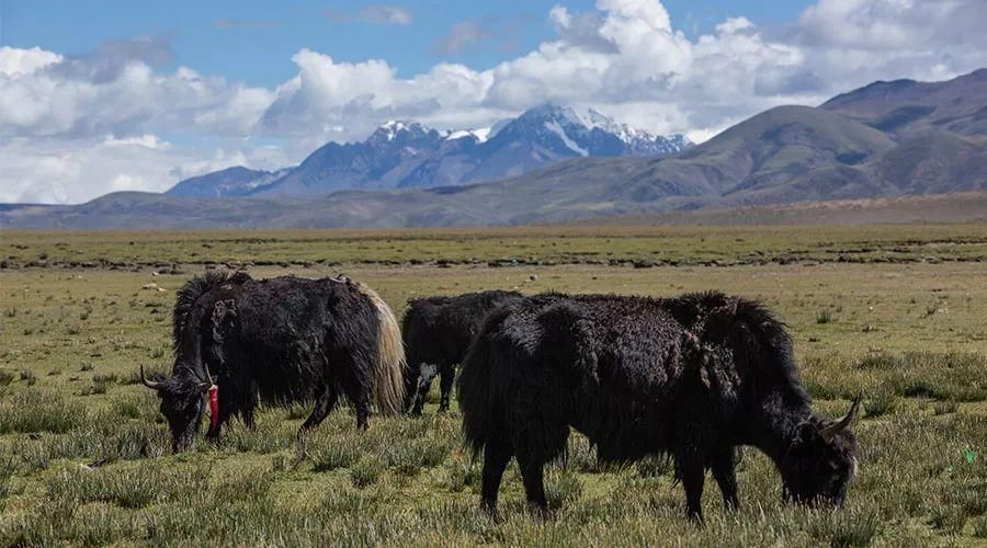 现在买银行股还来得及吗?