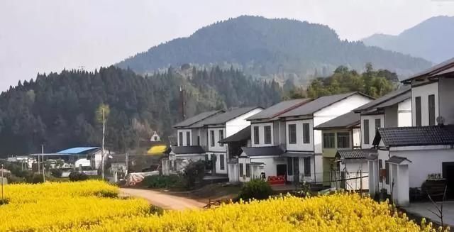 2019年开始农村不准建房?农民何去何从?原来