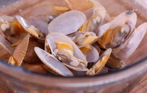 花甲是海鲜吗 花甲什么季节吃最好