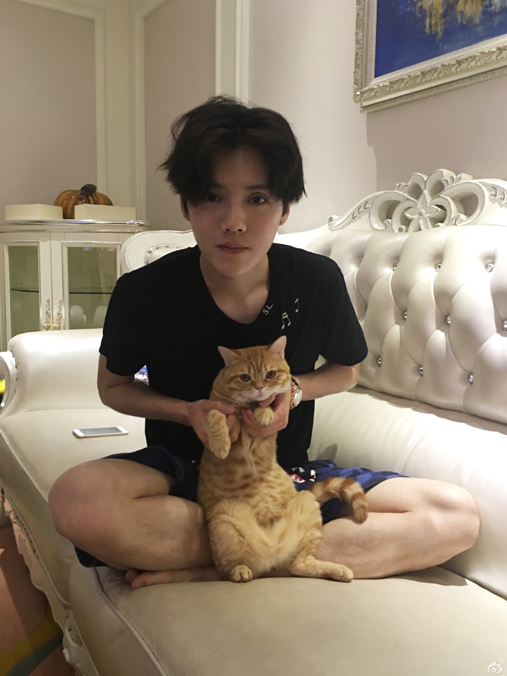 胡歌鹿晗井柏然 有时间宠猫没时间谈恋爱的男星