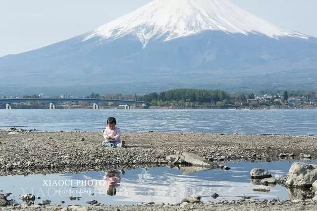 日本富士山|樱花季美哭了,旅行全攻略收藏起来